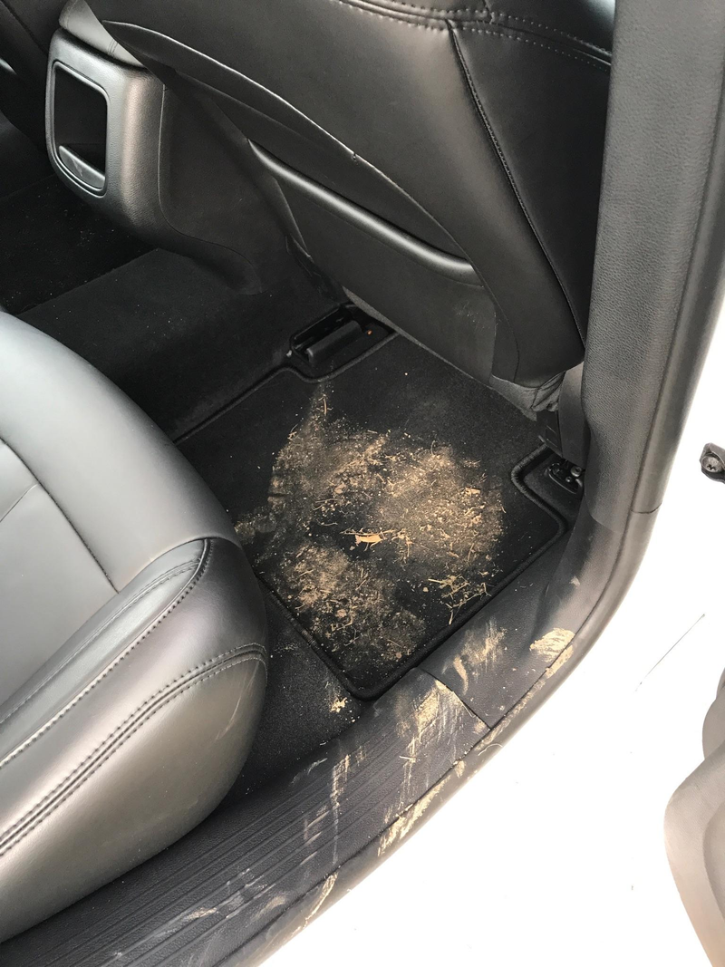 Illustration for article titled Qué es el “fraude del vómito”: la estafa que puede hacer que tu viaje en Uber salga realmente caro